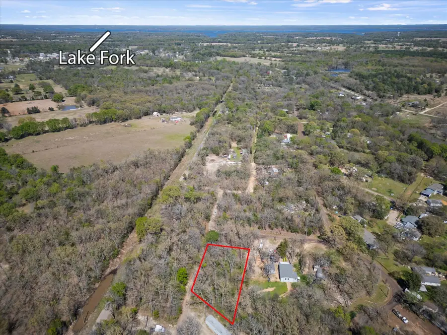 0 County Road 1687, Alba, TX 75410 - #2