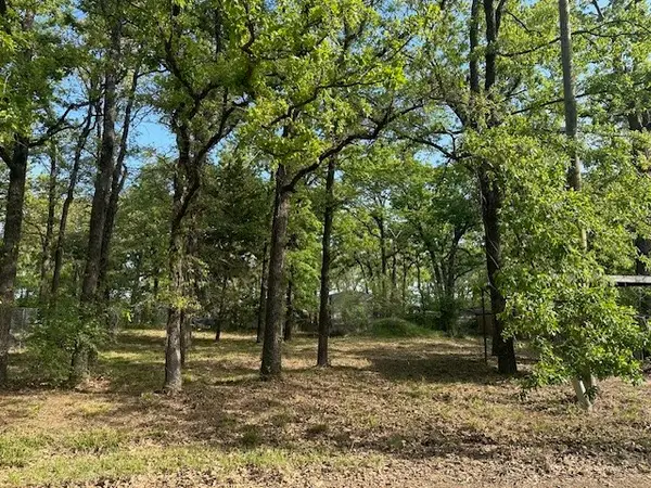 116 Red Bird Lane, Mabank, TX 75156