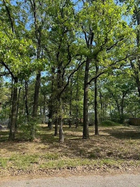 116 Red Bird Lane, Mabank, TX 75156 - #2