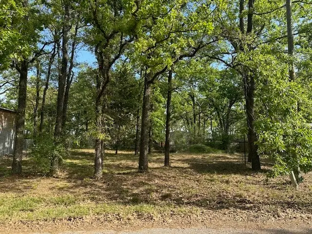 116 Red Bird Lane, Mabank, TX 75156 - #3