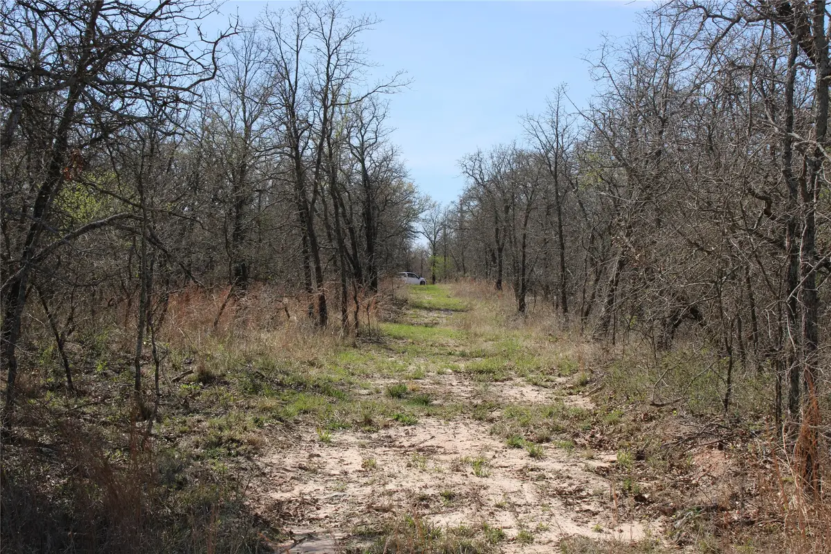 13 AC N Mason, Perrin, TX 78486 - #1