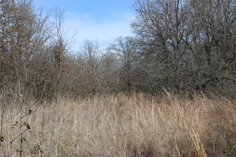 13 AC N Mason, Perrin, TX 78486 - #3
