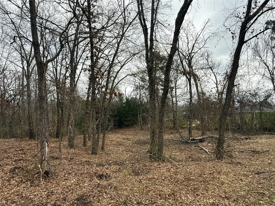 TBD (lot 8) Florence Street, Grand Saline, TX 75140 - #2