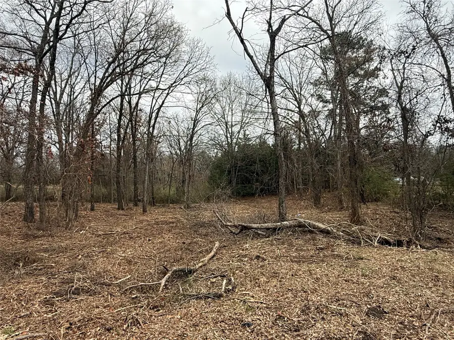 TBD (lot 8) Florence Street, Grand Saline, TX 75140 - #3