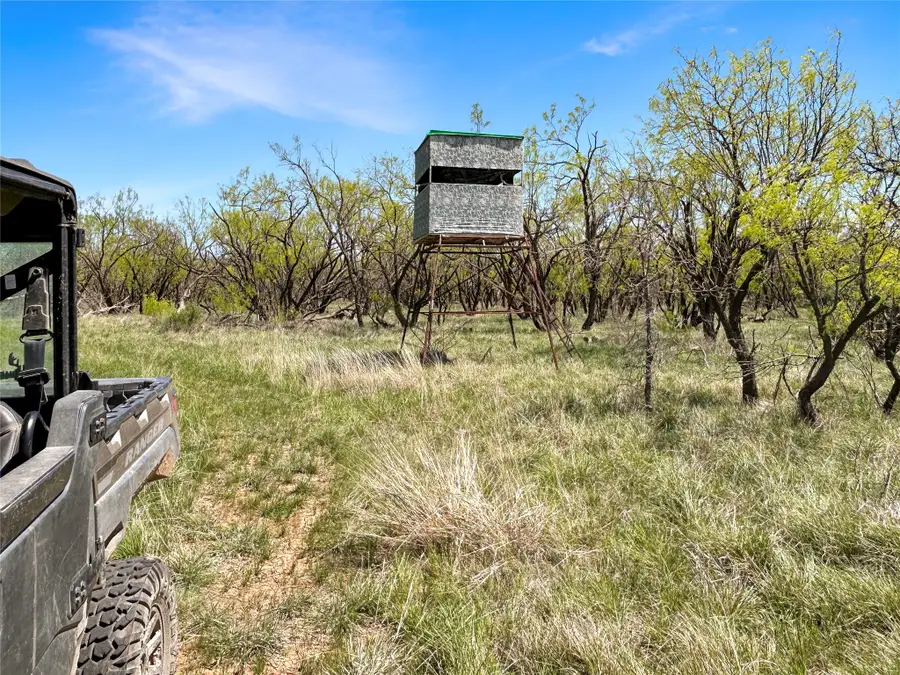 1116 County Road 107, Cisco, TX 76437 - #2