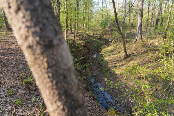 00 Off Of State Highway 294, Alto, TX 75925