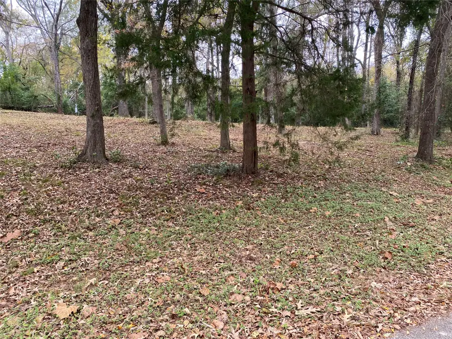 101 Lakeside Drive, Palestine, TX 75801 - #2