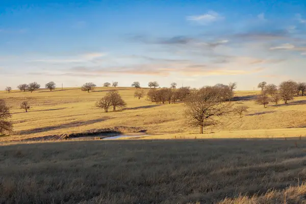 TBD Odom Road, Nocona, TX 76255