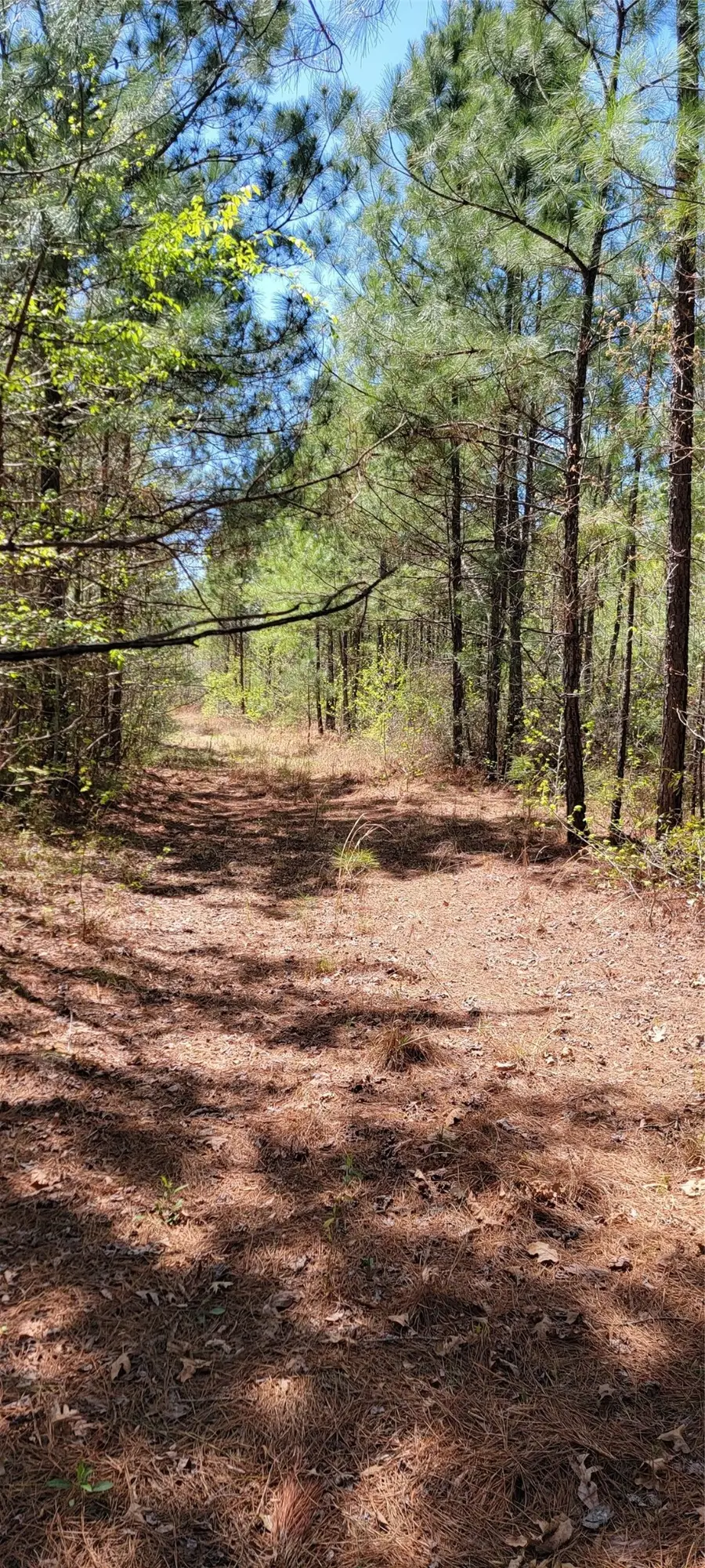 0 Jewell Gooch Road, Marshall, TX 75670 - #2