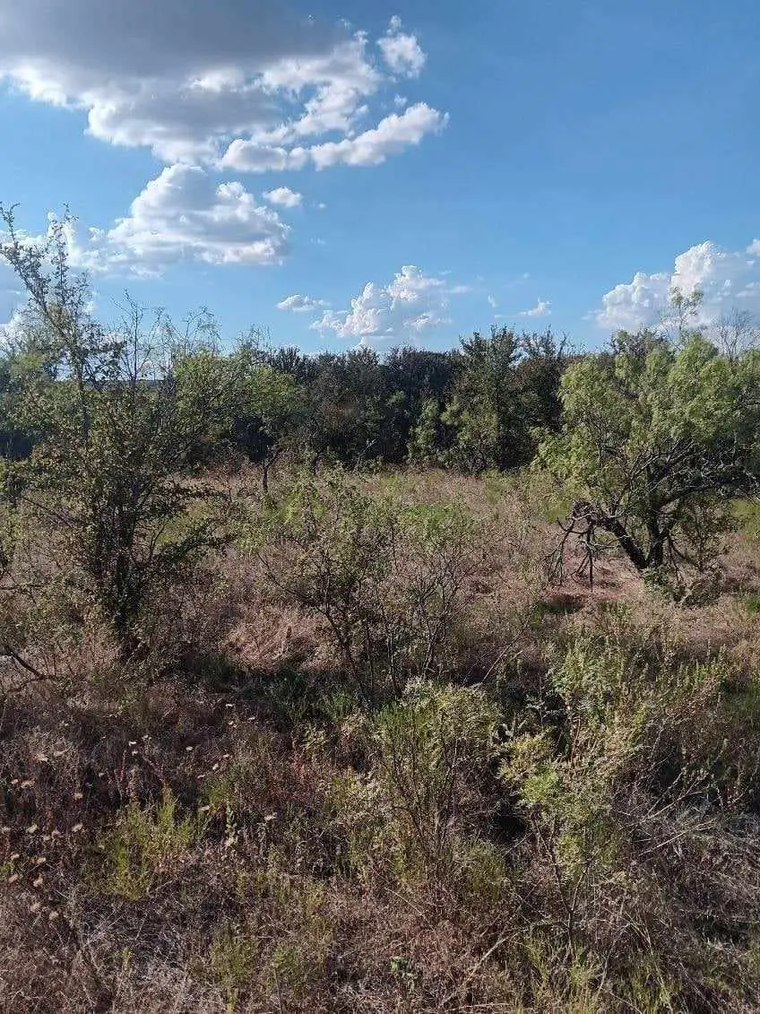 0 Shady Oaks Drive #7A, Bridgeport, TX 76426 - #2