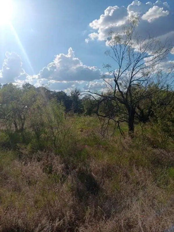 0 Shady Oaks Drive #7A, Bridgeport, TX 76426 - #3