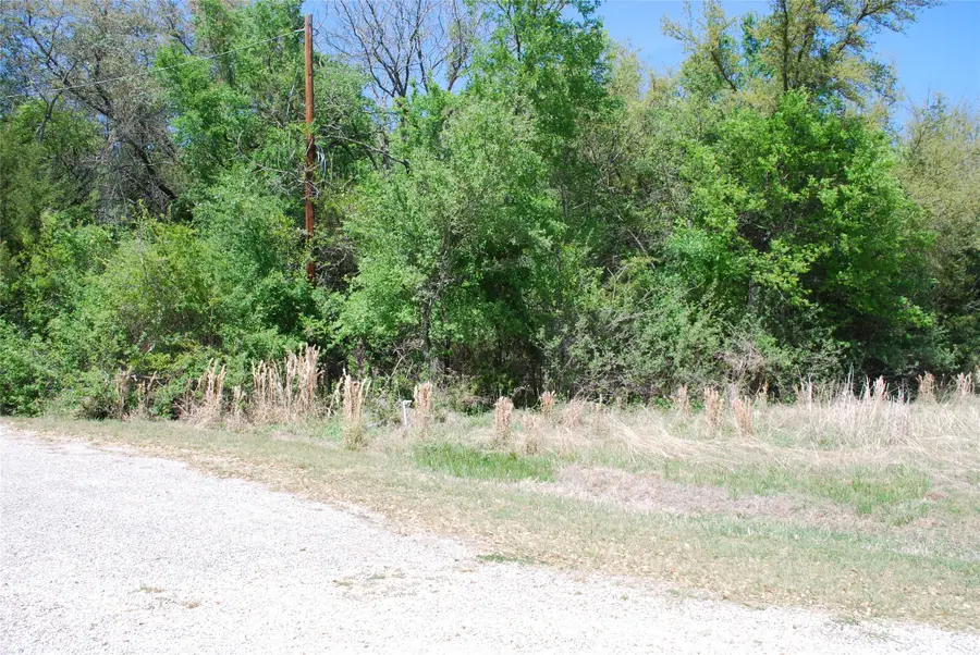 30087 Woodcrest Court, Whitney, TX 76692 - #2