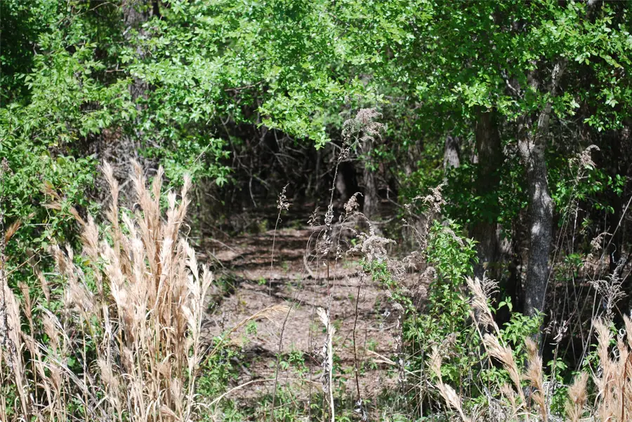 30087 Woodcrest Court, Whitney, TX 76692 - #3