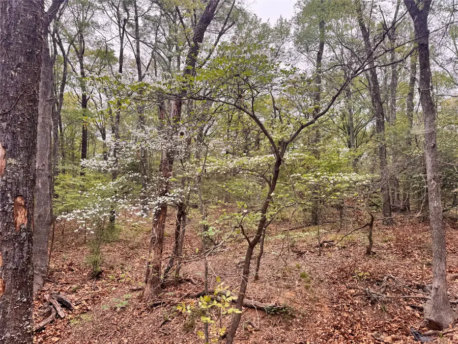 656 County Road 2680, Bonham, TX 75418 - #3