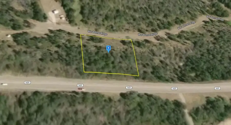 133 War Bonnet Ridge, Kingsland, TX 78639 - #2