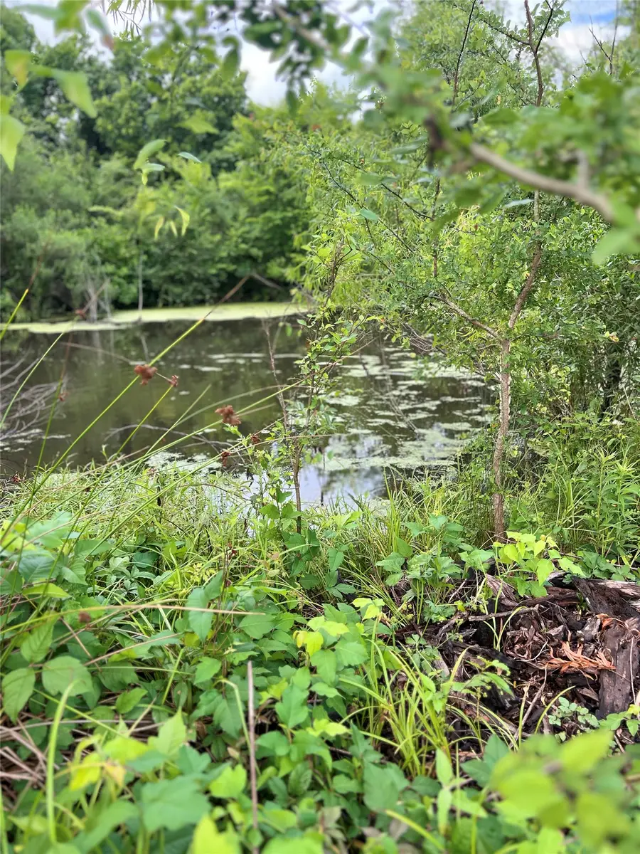 TBD County Road 4578, Sulphur Springs, TX 75482 - #3