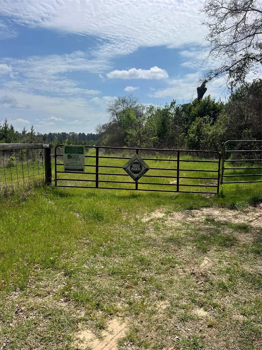0 Cr 3908, Jacksonville, TX 75766 - #2