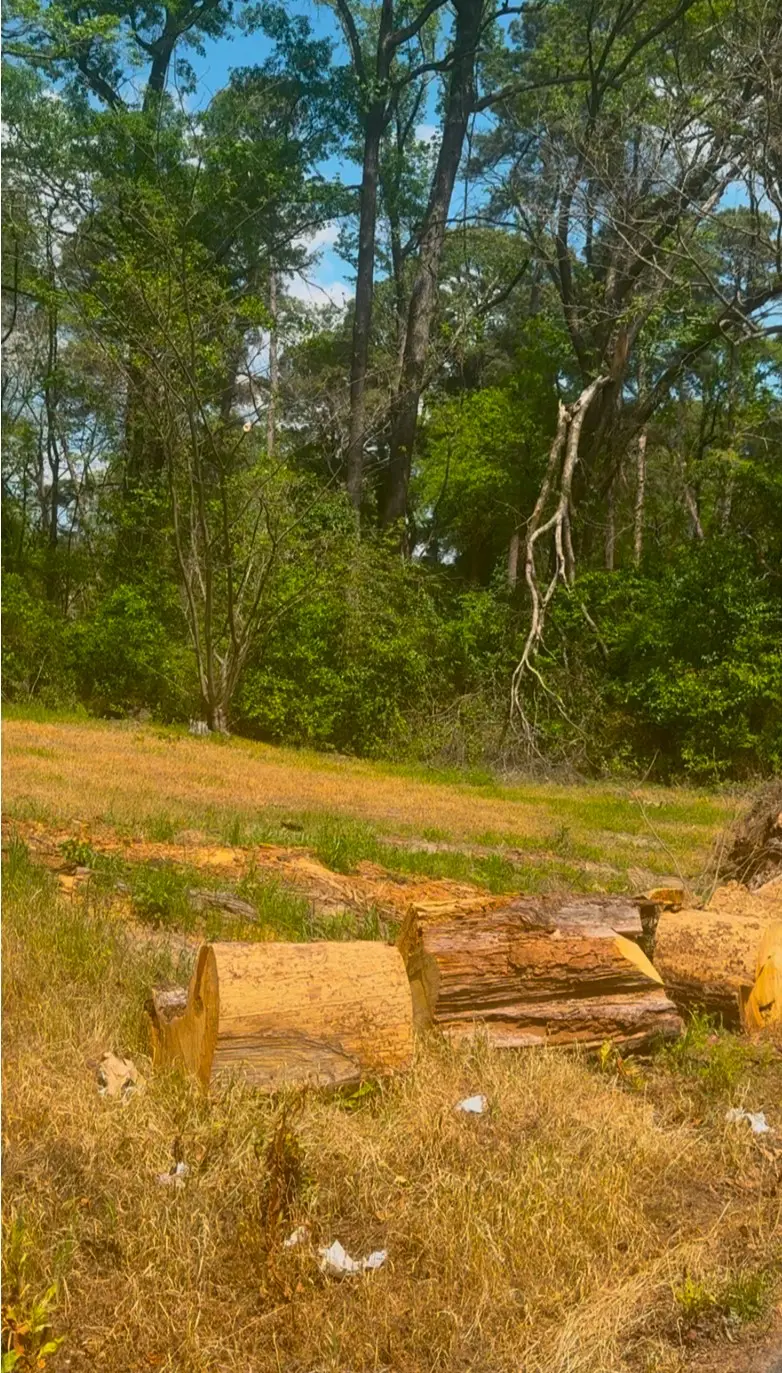 0 Turner Lane, Shreveport, LA 71106 - #2