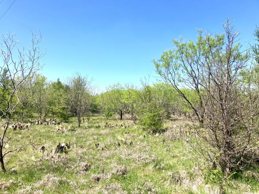 780 County Road 410a, Comanche, TX 76442 - #2