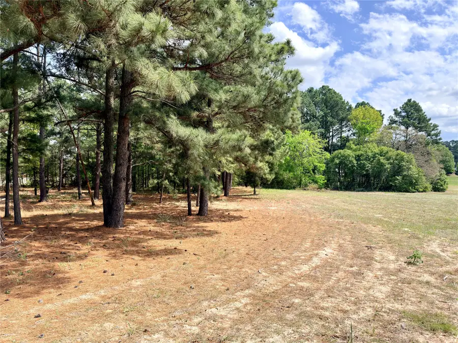 0 Palomino Court, Athens, TX 75752 - #3