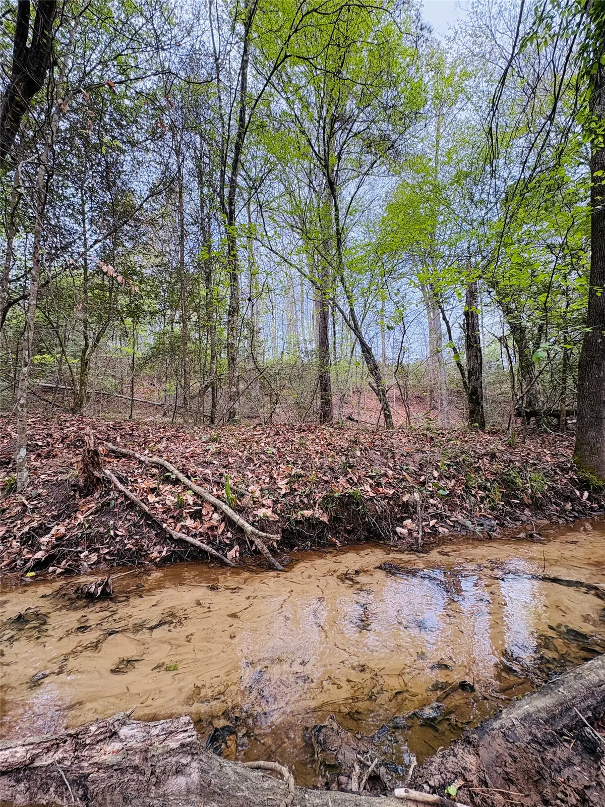 TBD (Tract A) Fm 711, Center, TX 75935 - #1