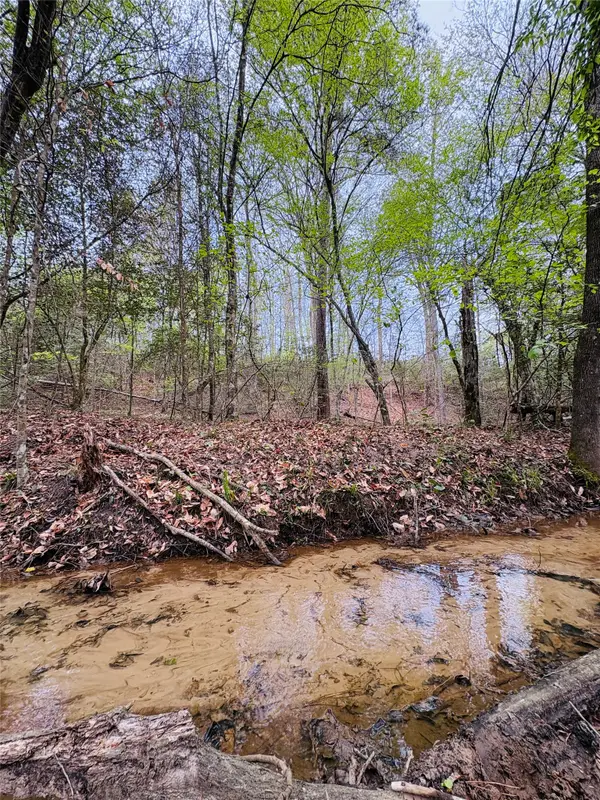 TBD (Tract A) Fm 711, Center, TX 75935