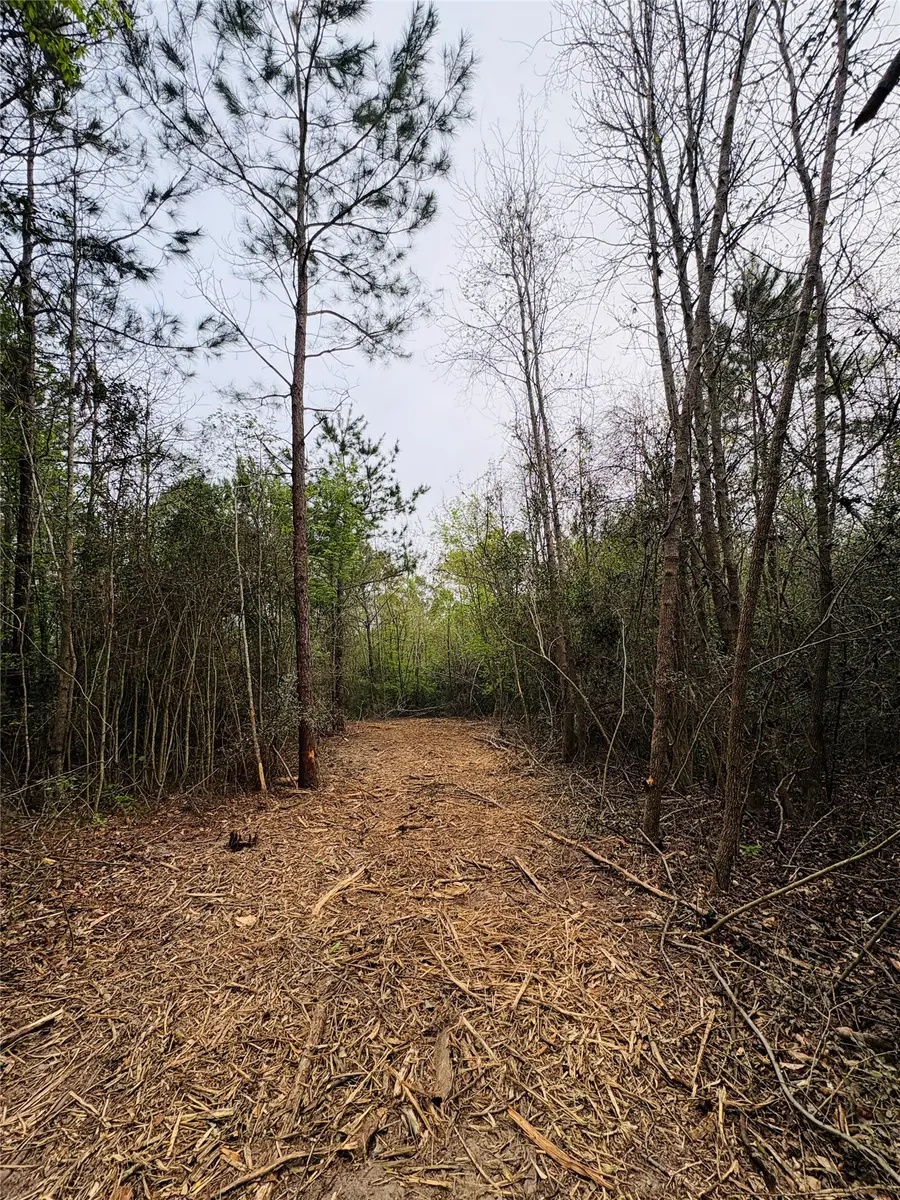 TBD (Tract A) Fm 711, Center, TX 75935 - #3