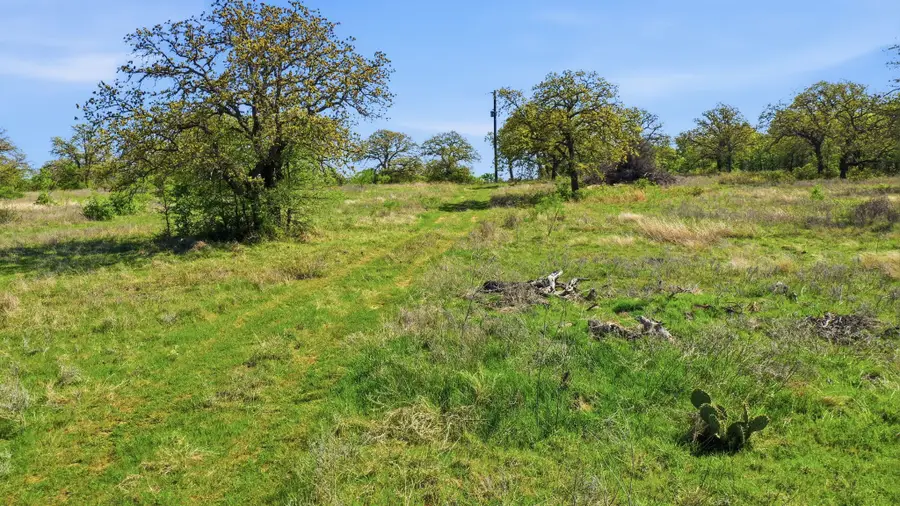 827 Erwin Road, Jacksboro, TX 76458 - #3