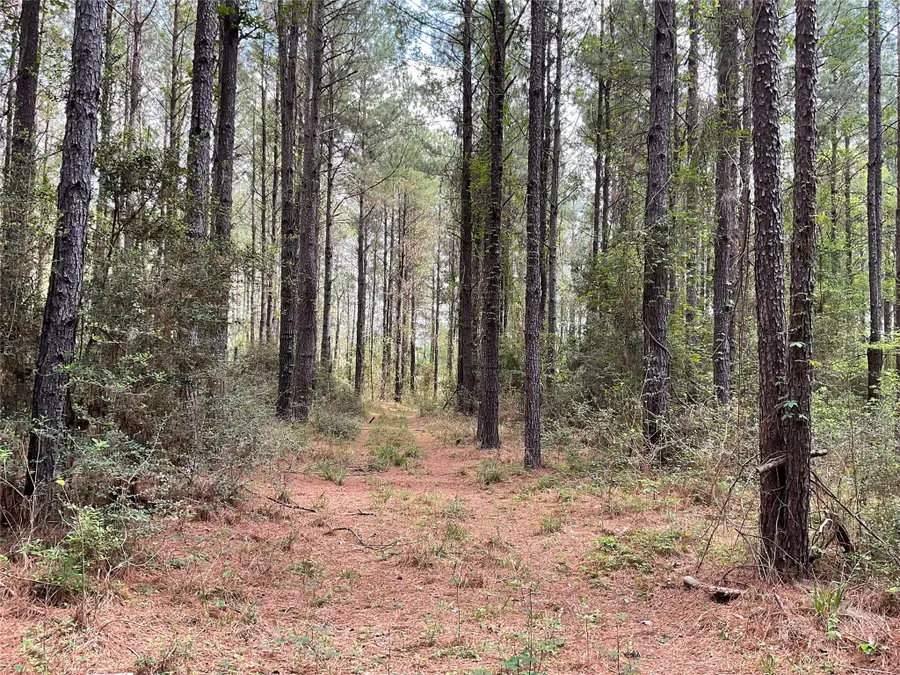 Lot 2B & 2C Fuller Springs Drive, Lufkin, TX 75901 - #2