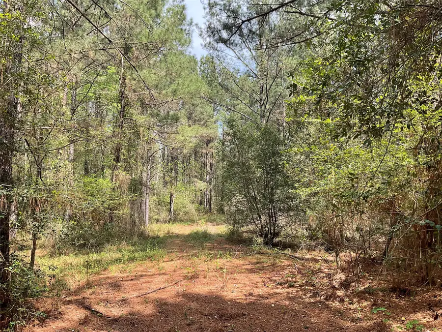Lot 2B & 2C Fuller Springs Drive, Lufkin, TX 75901 - #3