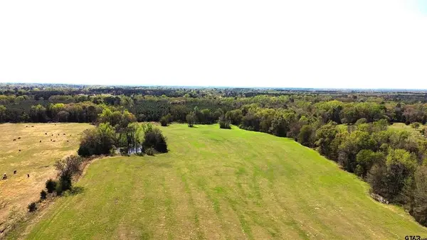 808 W Fm 1519, Pittsburg, TX 75686