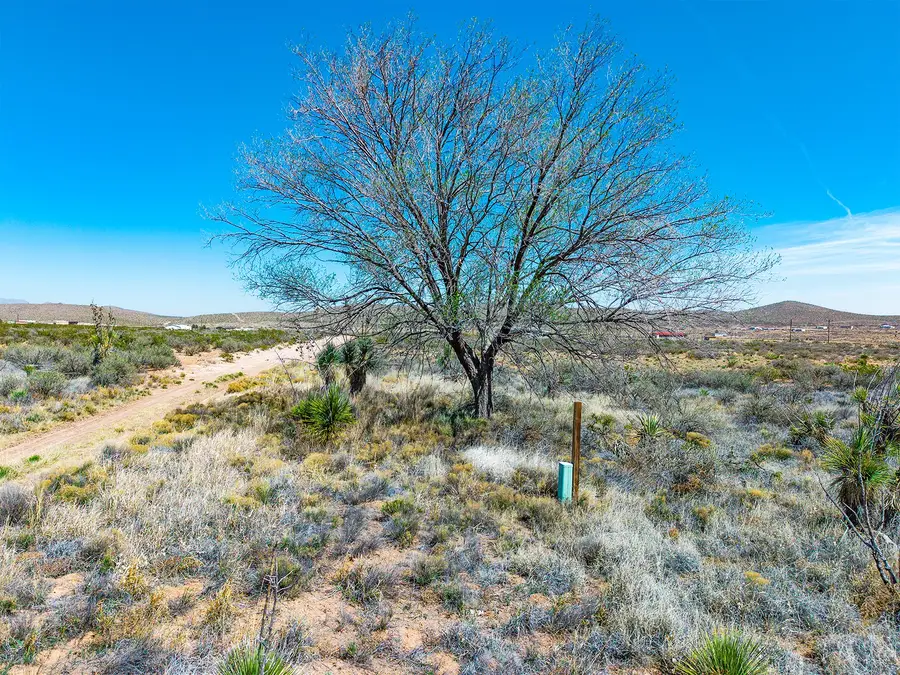 TBD Dave Head Loop, Fort Hancock, TX 79839 - #3