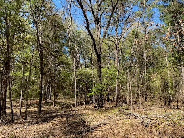 Lots 33 & 34 Armadillo Drive, Murchison, TX 75778 - #3