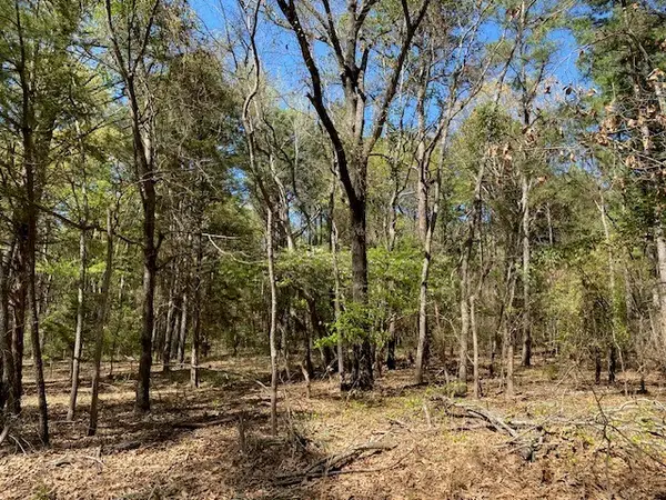 Lots 30-34 Armadillo Drive, Murchison, TX 75778