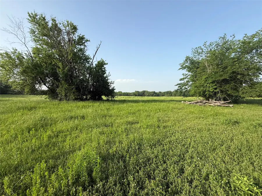0000 TBD N County Road 3528, Saltillo, TX 75478 - #3