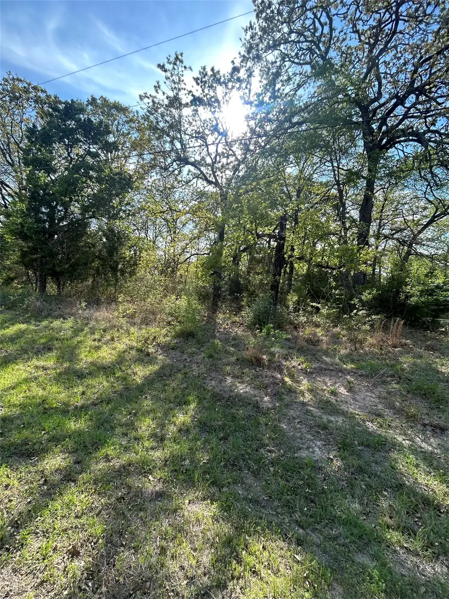 150 Running Deer Road, Mabank, TX 75156 - #2