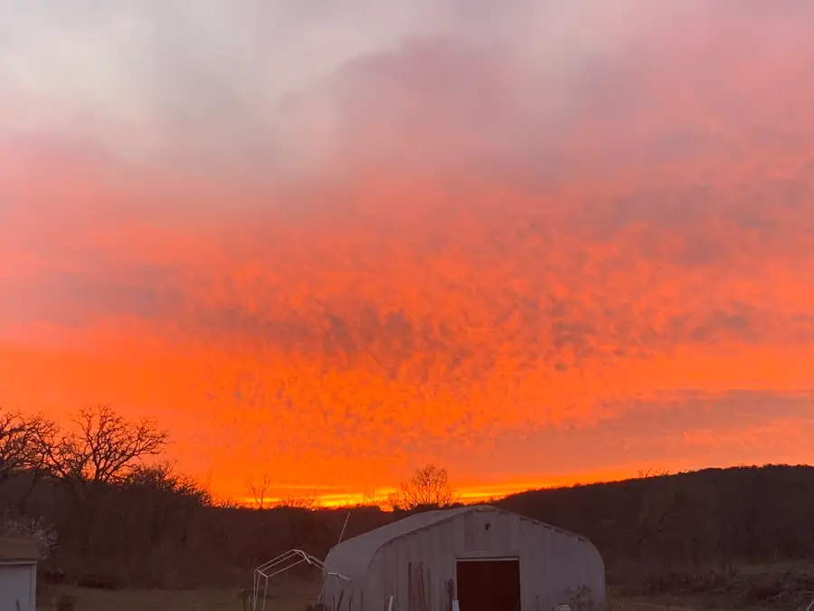 8381 Salt Creek Road, Jacksboro, TX 76458 - #2