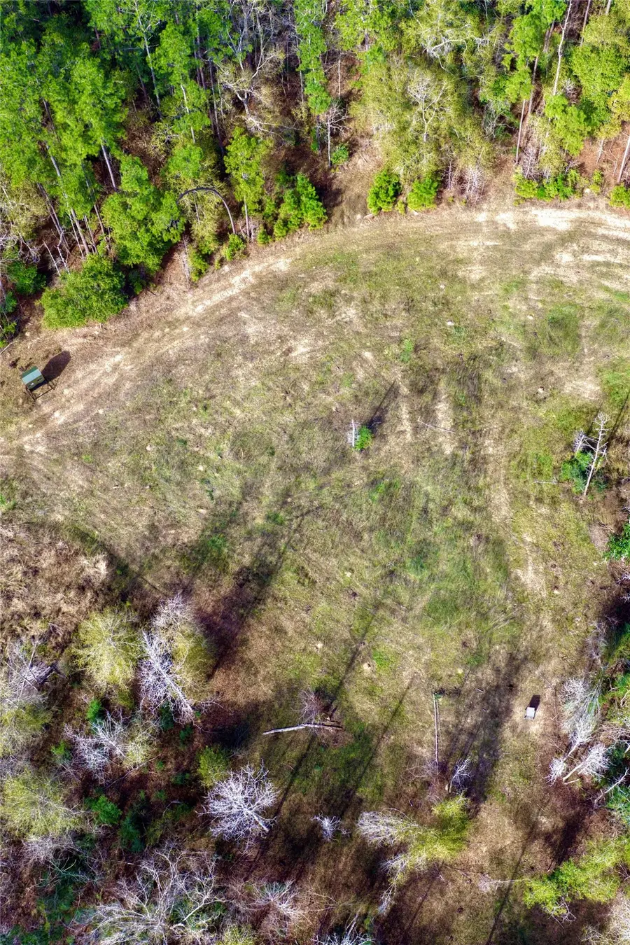 0000 Segno Fire Lane, Livingston, TX 77351 - #2