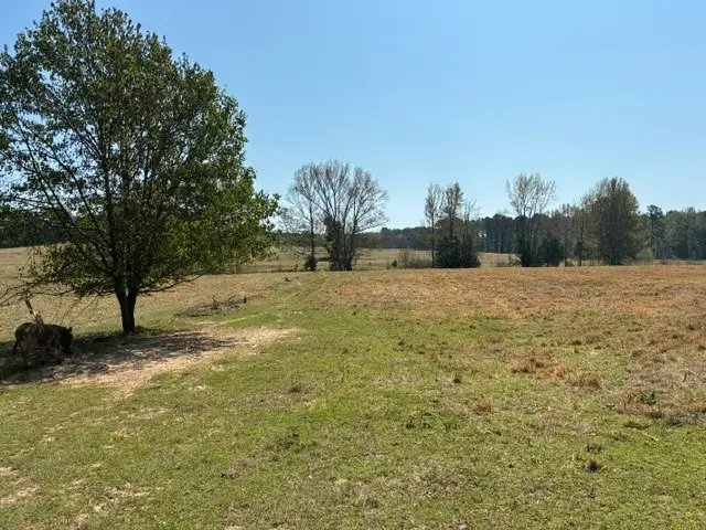 W-1 West Cliff Keen Road, Minden, LA 71055 - #3