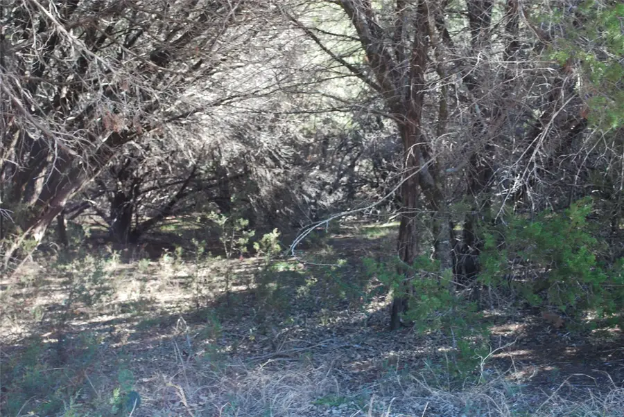 8182 Cedar Crest Drive, Whitney, TX 76692 - #3