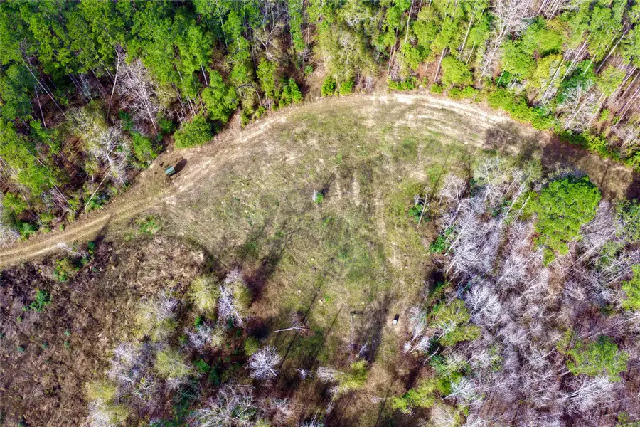 TBD Segno Fire Lane, Livingston, TX 77351 - #2