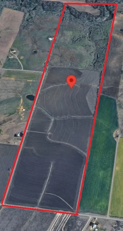 19711 Janak Road, Northeast Travis, TX 78615 - #2