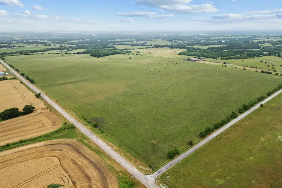 TBD Fm 697, Whitewright, TX 75491 - #2