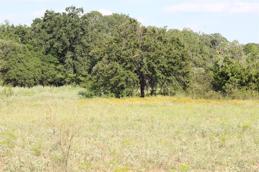 1179 Cr 1470, Chico, TX 76431 - #2