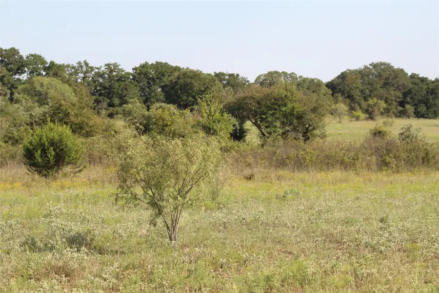 1179 Cr 1470, Chico, TX 76431 - #3