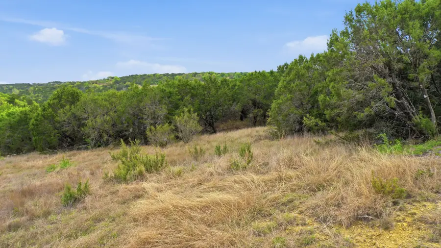 TR956 Majestic Shores, Bluff Dale, TX 76433 - #2