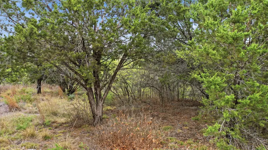 TR956 Majestic Shores, Bluff Dale, TX 76433 - #3