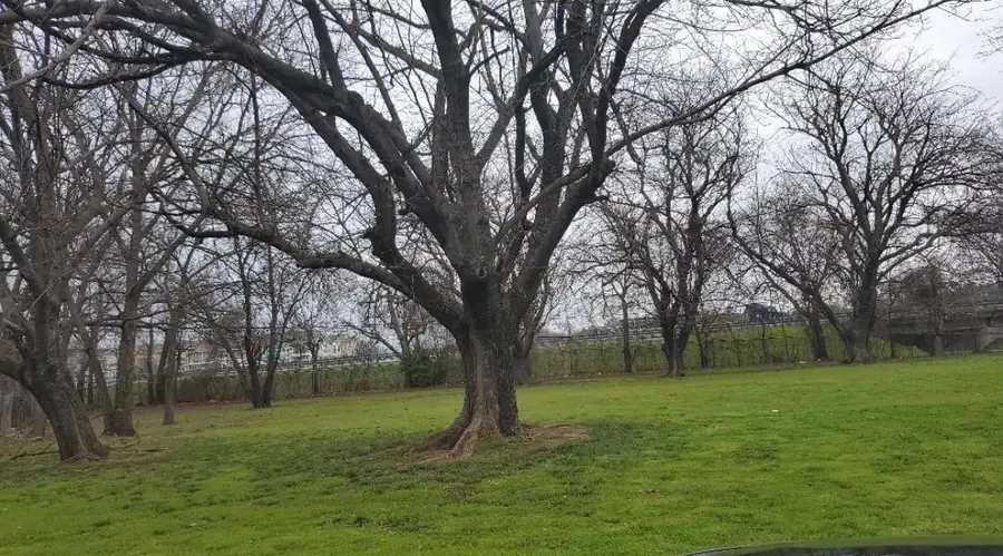 319 E Miller Street, Burleson, TX 76028 - #2