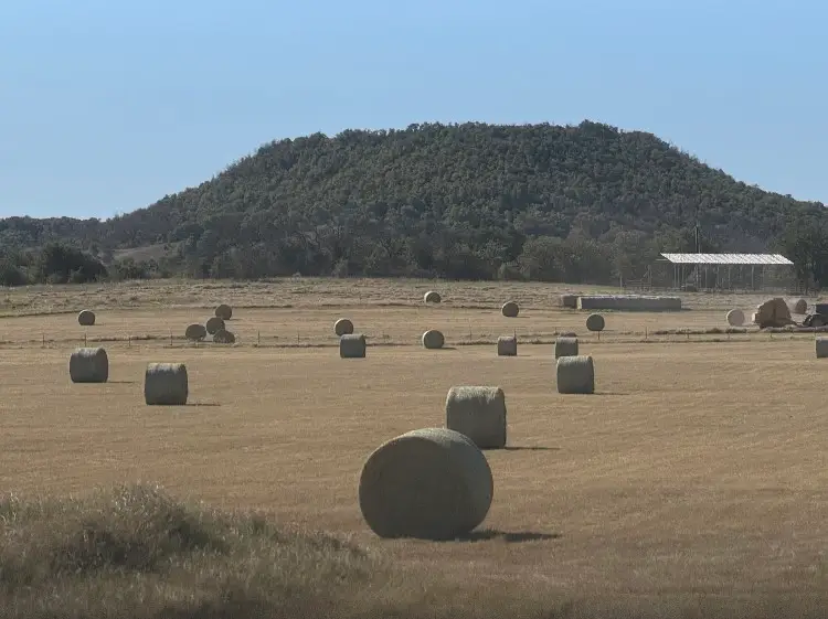 2026 CR 103 County Rd 103, Comanche, TX 76442 - #2