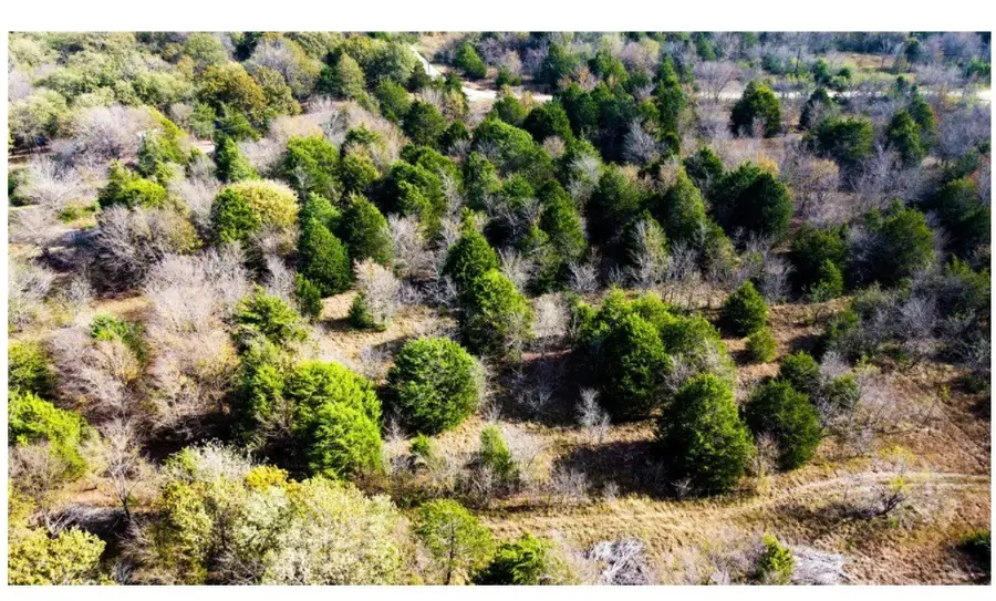 TBD SE County Road 3060, Corsicana, TX 75109 - #2